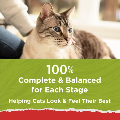 Miniatura 16 de Purina Cat Chow Naturals - Alimento seco para gatos con vitaminas, minerales y nutrientes añadidos, Naturals Original - Bolsa de 13 libras
