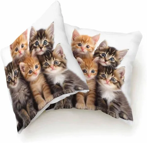 Miniatura 5 de Juego de 2 fundas de almohada cuadradas decorativas para sofá y cama, para hombres y mujeres, 18 x 18 pulgadas, diseño de gatitos lindos color negro