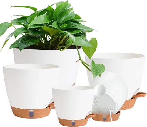 Miniatura 23 de Macetas de riego automático de 6 pulgadas para plantas de interior (paquete de 5) – Pequeñas macetas de plástico con ventana de nivel de agua