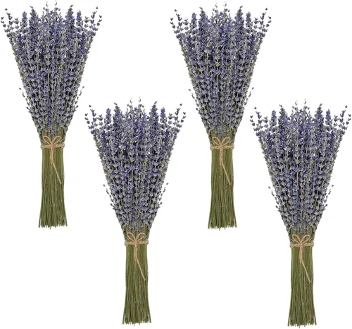 Timoo - Paquetes de lavanda seca 100 % naturales, flores secas de lavanda para decoración del hogar, accesorios para fotos, fragancia del hogar,