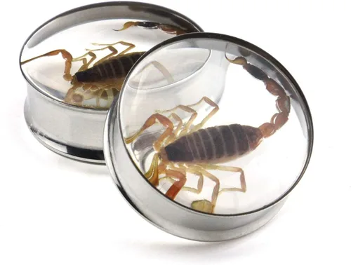 Miniatura 2 de Tapones para oreja, incrustaciones de escorpión auténtico, de acero inoxidable, túneles de doble llamarada, dilatadores para estirar, piercing
