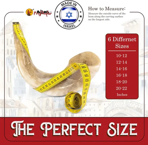Miniatura 3 de Shofar Set (bolsa de transporte de terciopelo, aerosol neutralizador de olores, cepillo de limpieza, guía y pulsera roja de Tierra Santa) Ram Shofar