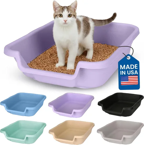 Miniatura 56 de KittyGoHere - Caja de arena para gatos mayores, sartén pequeña con cuchara jumbo de mango largo, caja de arena para gatos de entrada baja, ligera