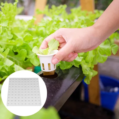 Miniatura 5 de 200 esponjas hidropónicas, herramienta de jardinería, cultivo sin suelo, esponjas de siembra, esponja de cultivo, invernadero para crecimiento