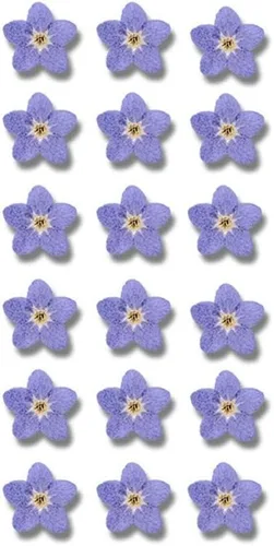 Myosostis Sylvatica - 20 flores secas prensadas para resina, vela, resina epoxi, fabricación de jabón, álbumes de recortes, manualidades de Azul