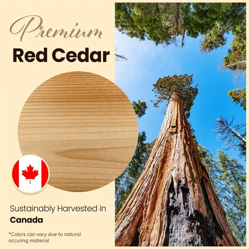 Miniatura 7 de Termómetro e higrómetro de sauna 2 en 1 - Hecho a mano con madera de cedro rojo canadiense - Medidor analógico de temperatura y humedad - Fahrenheit