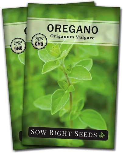 Sow Right Seeds - Semilla de orégano para plantar - Reliquia sin OMG - Instrucciones para plantar y cultivar un jardín de hierbas de cocina -