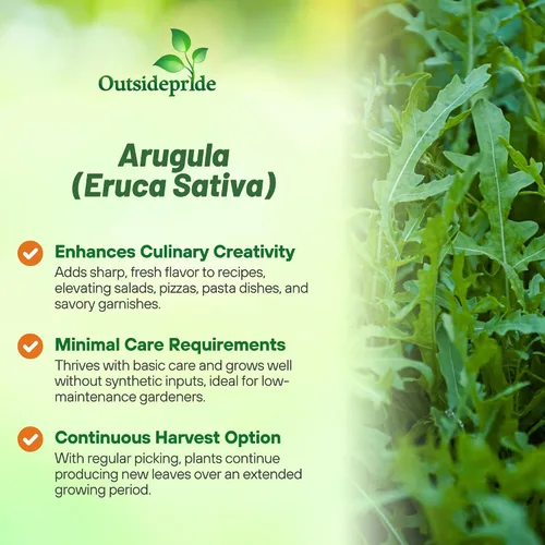 Miniatura 3 de Outsidepride Semillas de rúcula y microgreens – 1/4 libra anuales, fáciles de cultivar y aptas para polinizadores, semillas de hierbas para plantar