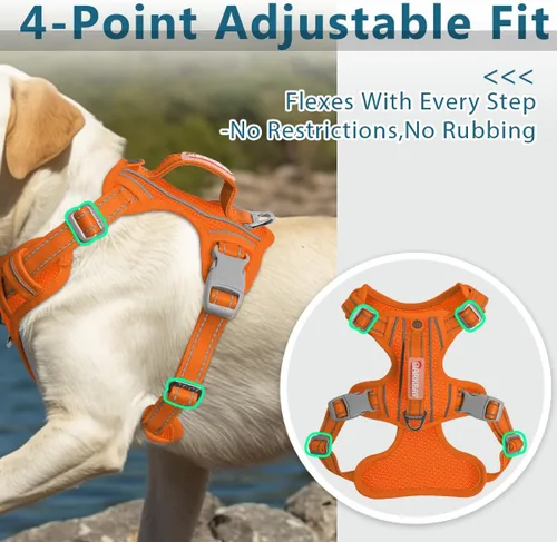 Miniatura 6 de BARKBAY Arnés para perro sin tirones con bolsillo para etiqueta de identificación, resistente, reflectante, de fácil control para perros grandes