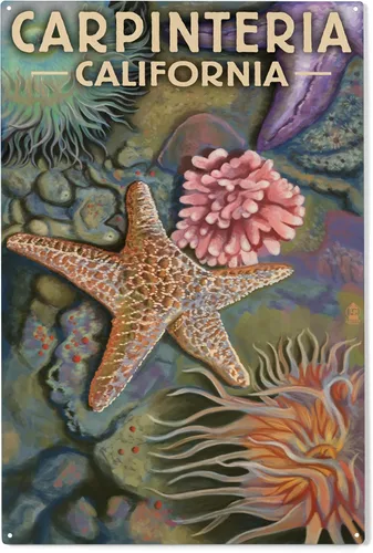 Lantern Press Carpinteria, California, Tidepool (10.0 x 17.9 in, madera, listo para colgar)