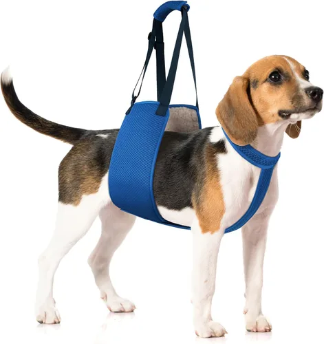Arnés ajustable de elevación para perros con correa de fijación, arnés de elevación para perros, soporte de pierna trasera, arnés de rehabilitación