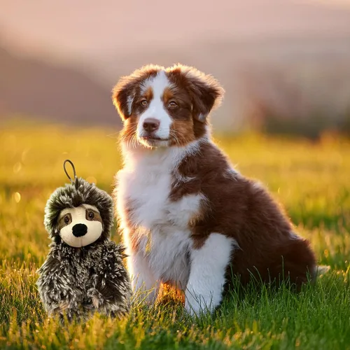 Miniatura 6 de Juguete para perro perezoso con chirriador, juguete mediano para perros pequeños, juguete de felpa para perros, multicolor, 6 pulgadas, con licencia