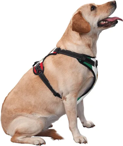 Miniatura 7 de Arnés de chaleco sin tirones de la bandera de México para perros pequeños, medianos y grandes, cachorros, mascotas, gatos, caminar al aire libre