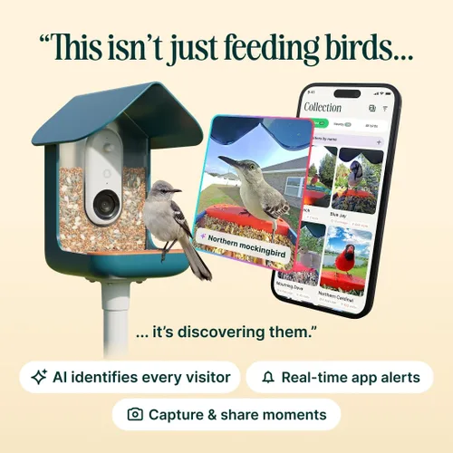 Miniatura 4 de Birdbuddy PRO Comedero Inteligente para Aves sin Energía Solar con Cámara - Identificación de Especies de Aves por IA, Fotos de 5MP, Cámara