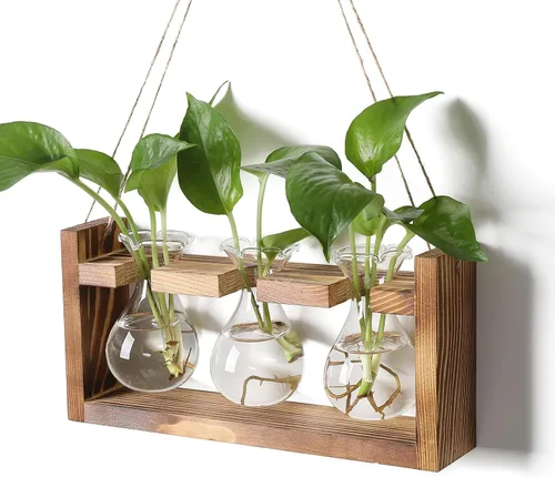 Miniatura 13 de Estación de Propagación de Plantas Terrario de Plantas Regalos Únicos de Cumpleaños para Mujeres Decoración para Hogar y Oficina Maceta con Soporte