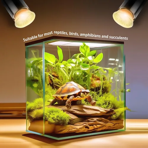 Miniatura 6 de Paquete de 2 bombillas UVA de 25W, lámpara de calor con luz para tortugas para reptiles y tanques de anfibios, terrarios y jaulas, se ajusta a