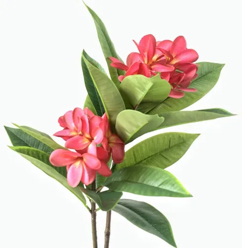 XIYUAN Flores artificiales Frangipani de 35.5 pulgadas, 2 tallos realistas de tacto real, flores de plumeria artificiales para el hogar, fiesta, Rojo
