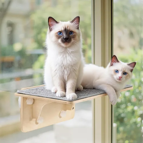 Miniatura 10 de Pecute Estantes dobles para gatos con poste rascador para pared y ventana con madera maciza, ventosa fuerte, alfombrilla de cubierta lavable, cama
