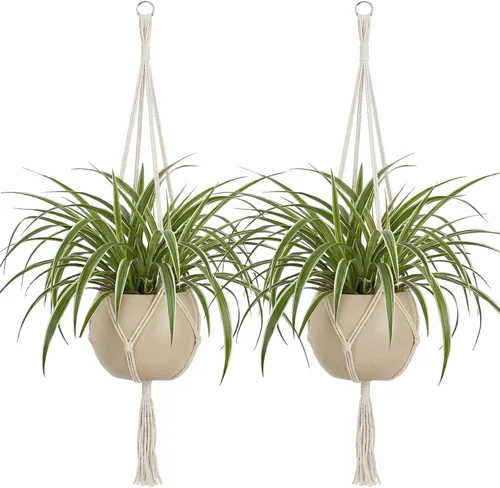 Miniatura 14 de EBOOT Paquete de 3 cuerdas grandes de macramé para colgar plantas de 33, 41, 48 pulgadas, para colgar macetas para decoración de interiores