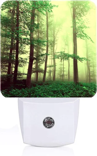 Miniatura 20 de Northern Lights - Luz nocturna enchufable, lámpara nocturna con sensor automático, lámpara de noche del atardecer al amanecer, decoración del hogar
