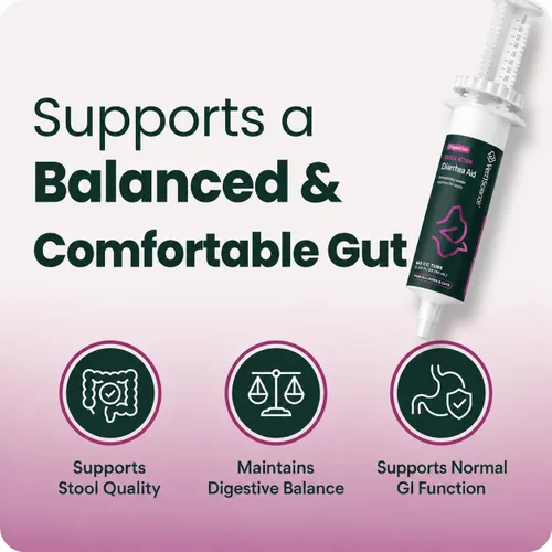 Miniatura 2 de VetriScience Pasta de ayuda para la diarrea de acción rápida con probióticos y vitaminas B, suplemento de apoyo digestivo de equilibrio rápido