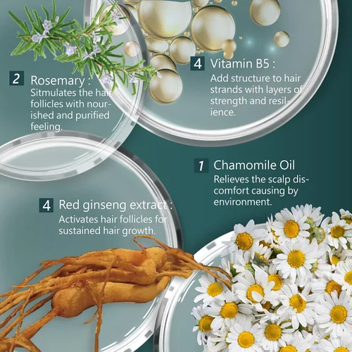 Miniatura 3 de SH-RD Champú activador de ginseng rojo para cabello adelgazante Extracto de hierbas, romero, vitamina B5 Levantamiento de raíces, control