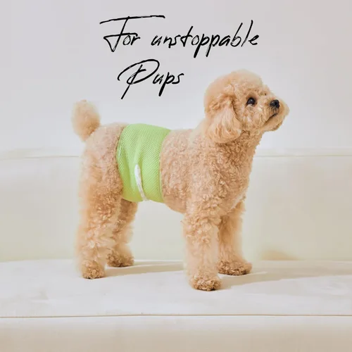 Miniatura 6 de WICKEDPUP Kit de banda para el vientre para perro macho, 50 almohadillas de pañales y 1 envoltura reutilizable para macho (talla 1