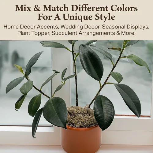 Miniatura 5 de Musgo español preservado - Musgo decorativo - Musgo seco para manualidades, decoración del hogar, proyectos de arte, diseño y bricolaje - para uso