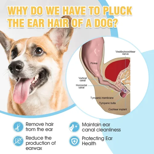 Miniatura 4 de Kit de polvo para orejas de perro para depilación – 1.48 oz de polvo para orejas para perros con pinzas curvas, ayuda a eliminar el exceso de vello