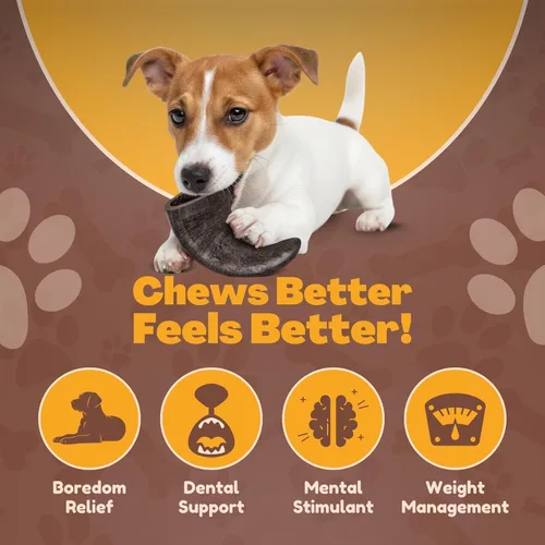 Miniatura 7 de WhiteTail Naturals - Cuernos de búfalo de agua para perros (paquete de 3 unidades pequeñas a medianas de 4 pulgadas) Hueso de perro totalmente
