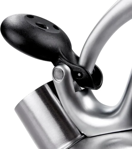 Miniatura 3 de OXO Good Grips - Pava para té, acero inoxidable pulido, Cepillado, Cepillado inoxidable