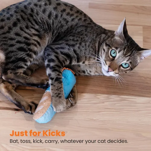 Miniatura 6 de Catstages - Juguete Loaf Kicker con hierba gatera y malla dental, forma de pan, juguete de felpa y cinta para gatos para patear, lanzar y limpieza