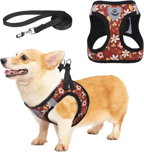 Miniatura 29 de Arnés de malla suave para cachorros – Juego de arnés y correa para perros pequeños, ajustable y cómodo chaleco reflectante acolchado para cachorros