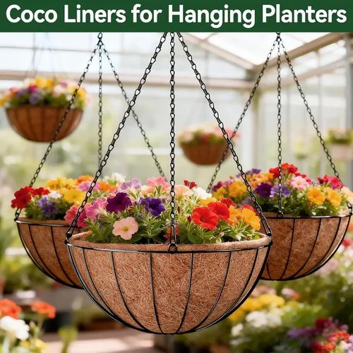 Miniatura 7 de ZeeDix Paquete de 3 forros de coco de 12 pulgadas para maceteros, revestimientos redondos para cestas colgantes 100% naturales, cesta de coco