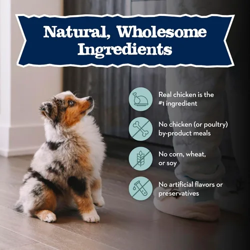 Miniatura 6 de Blue Buffalo Baby Blue - Alimento seco natural para cachorros, fórmula de crecimiento saludable con DHA, receta de pollo salado con alto contenido