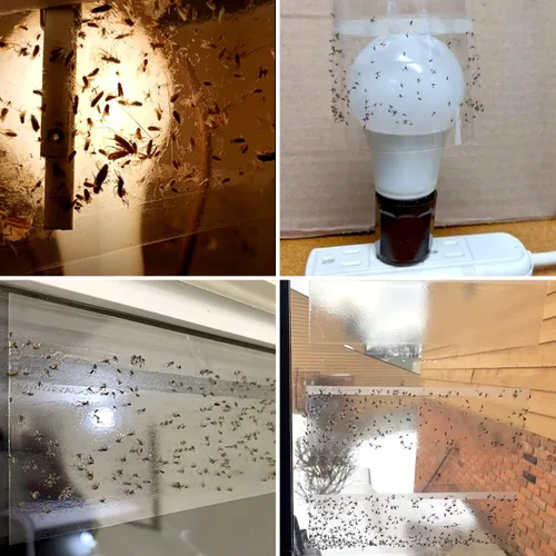 Miniatura 6 de LFSYS Paquete de 50 trampas para moscas de ventana, trampas para moscas de fruta para interiores, tiras adhesivas de papel para moscas, trampas