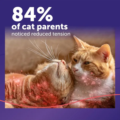 Miniatura 3 de FELIWAY MultiCat - Kit de difusor calmante para gatos y 6 paquetes de recambio, ayuda a reducir la lucha, la tensión y la agresión entre gatos