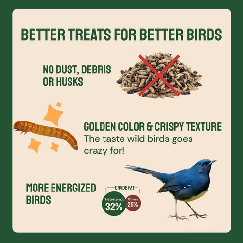 Miniatura 5 de Hatortempt Gusanos secos de harina para aves silvestres – Bolsa de 1.8 libras – Alimento Bluebird – Gusanos de comida con alto contenido