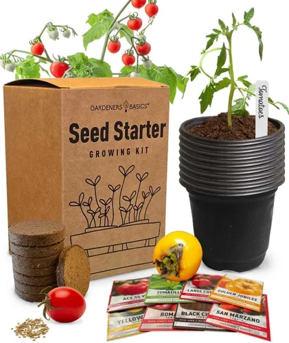Kit de cultivo de tomates – Cultiva 8 variedades de deliciosos tomates – Semillas de reliquia sin OMG, kit completo de semillas de tomate para
