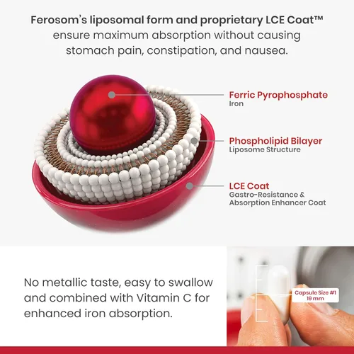 Miniatura 2 de LCE Polvo de hierro liposomal, 21 mg de hierro elemental con vitaminas B12, B6, C, D y ácido fólico, bebida de suplemento suave con sabor a bayas