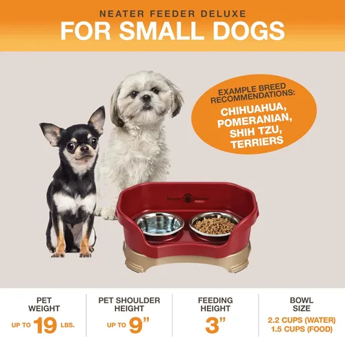 Miniatura 2 de Neater Pet Brands Cuencos para Perros Deluxe a Prueba de Derrames Elevados para Perros Pequeños Menores de 19 lbs, Fabricado en EE.UU., Cuenco