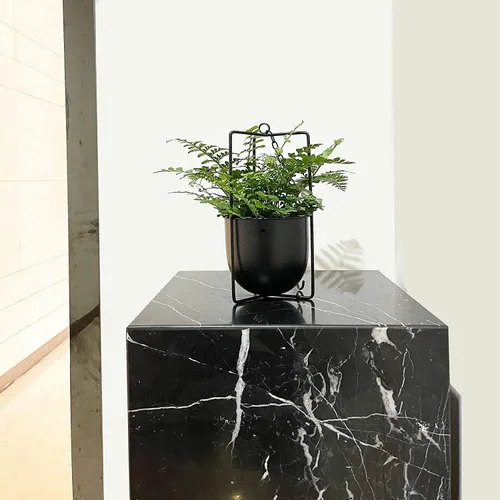 Miniatura 7 de Colgador de Plantas de Metal, Macetas Colgantes para Interiores, Macetas Colgantes para Flores (Negro)