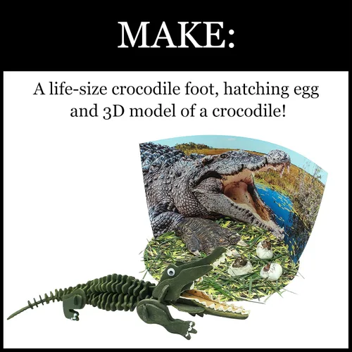 Miniatura 4 de WILD AMBIRONMENTAL SCIENCE Extreme Crocodiles of the World - Para mayores de 6 años - Crea y personaliza modelos y dioramas - Estudia los animales