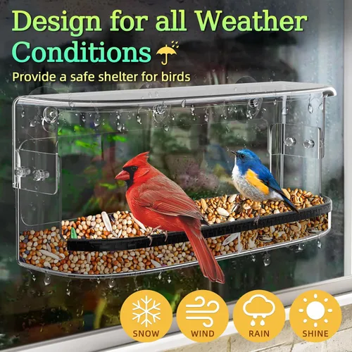 Miniatura 4 de Ermete Comedero para pájaros de ventana con ventosas fuertes, alimentador transparente de visión grande, bandeja de semillas, 13 x 5.5 x 4.2