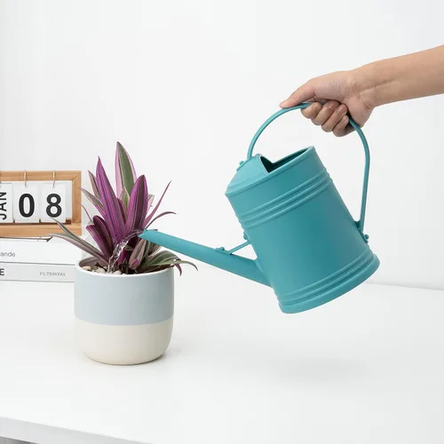 Miniatura 3 de Regadera para plantas de interior, regadera de flores, regadera de plástico para plantas, regadera de interior con cabezal de aspersor de 68 onzas