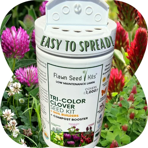 Miniatura 11 de Flawn Seed Kits Kit de semillas de trébol tricolor, esparcidor fácil de esparcir, bajo mantenimiento, cubierta de suelo alternativa, cubre hasta