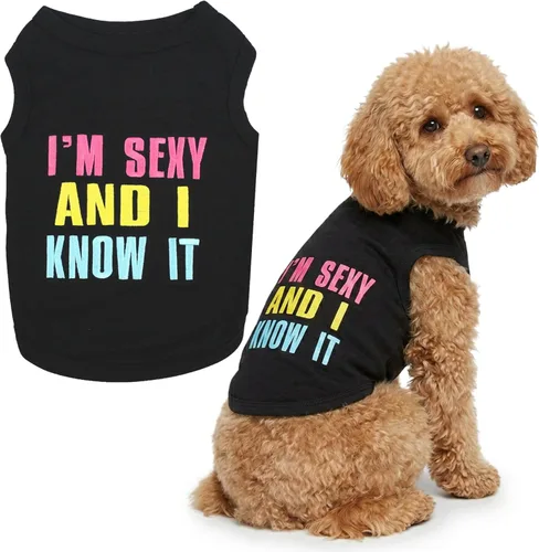 Miniatura 43 de Parisian Pet - Camiseta bordada para perros y gatos, con texto en inglés Sexy and I Know It, XS Sexy y lo sé