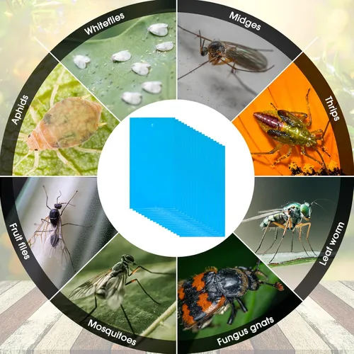 Miniatura 7 de 220 trampas adhesivas de doble cara para insectos voladores de plantas voladoras para interiores y exteriores, como mosquitos de hongos, moscas Azul
