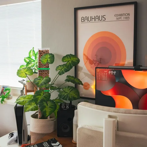 Miniatura 6 de EOX 2 Piezas Postes de Musgo de Plástico de 48 Pulgadas para Monstera, Postes Grandes en Forma de D para Plantas Trepadoras que Funcionan con Musgo