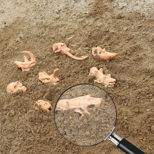 Miniatura 5 de LC JoyCre Juego de huesos de animales prehistóricos miniatura realistas para caja de arena, huesos de dinosaurio falsos para niños, juguetes